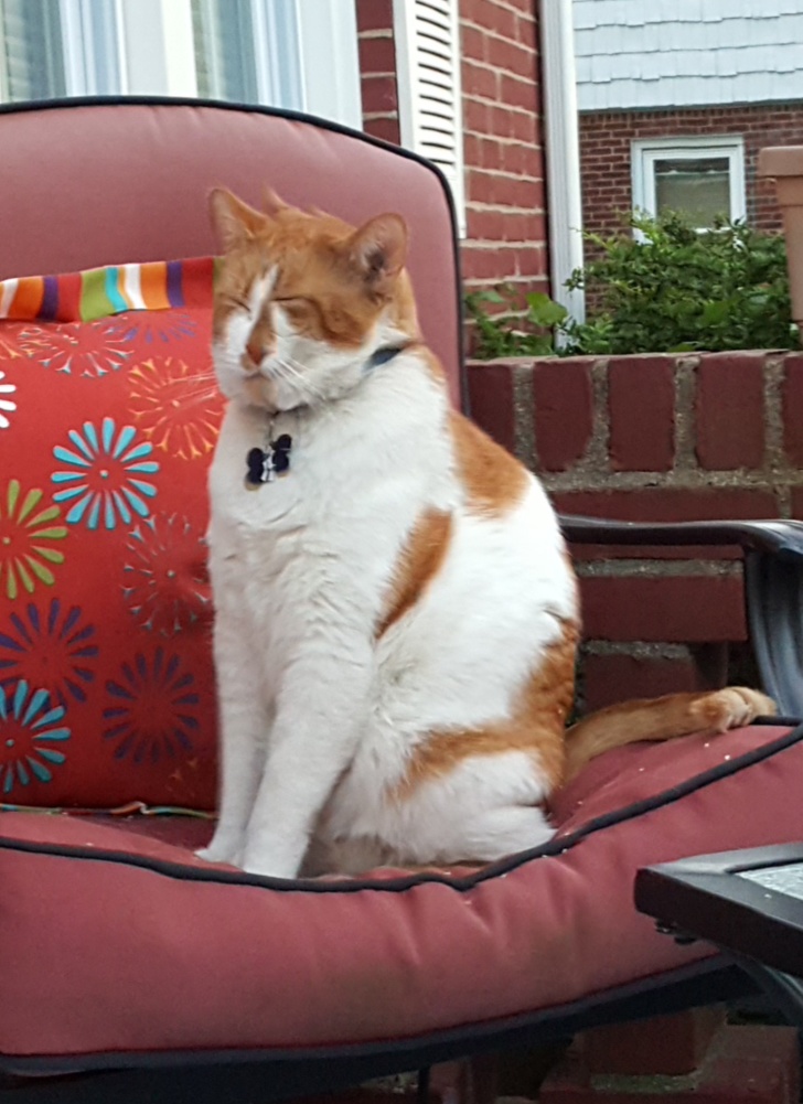 Illustration de l'article : Ces 20 photos panoramiques qui ont mal tourné