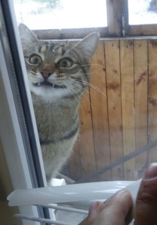 Illustration de l'article : Ces 17 photos qui montrent la dureté de l'hiver