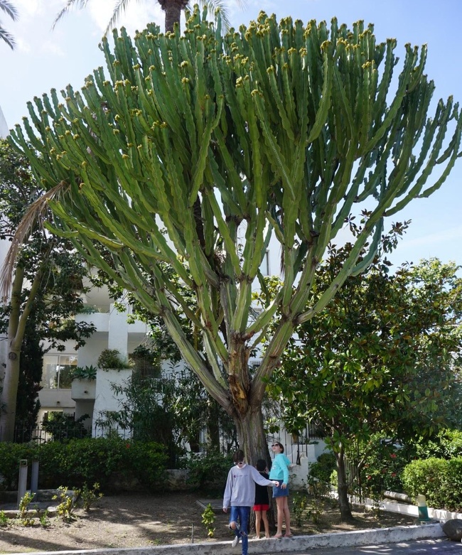 Illustration de l'article : Ces 14 photos de choses étranges et inhabituelles