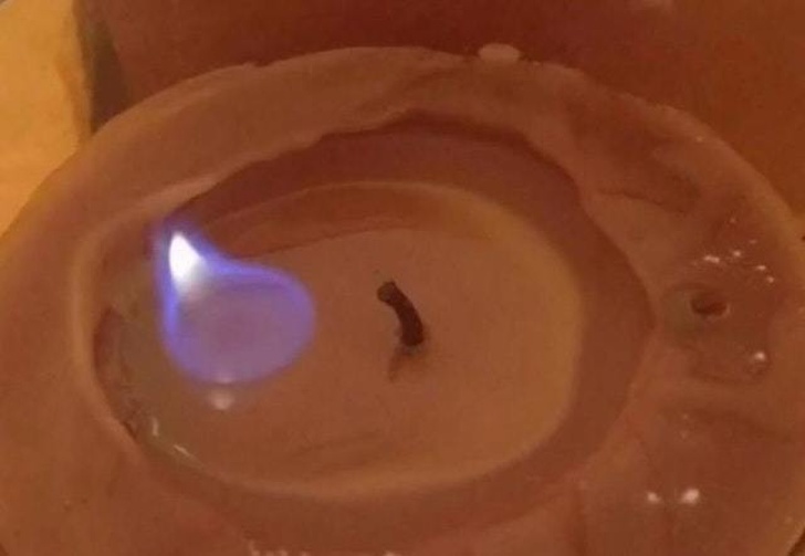 Illustration de l'article : Ces 18 imprévues qui donnent un caractère drôle à la situation