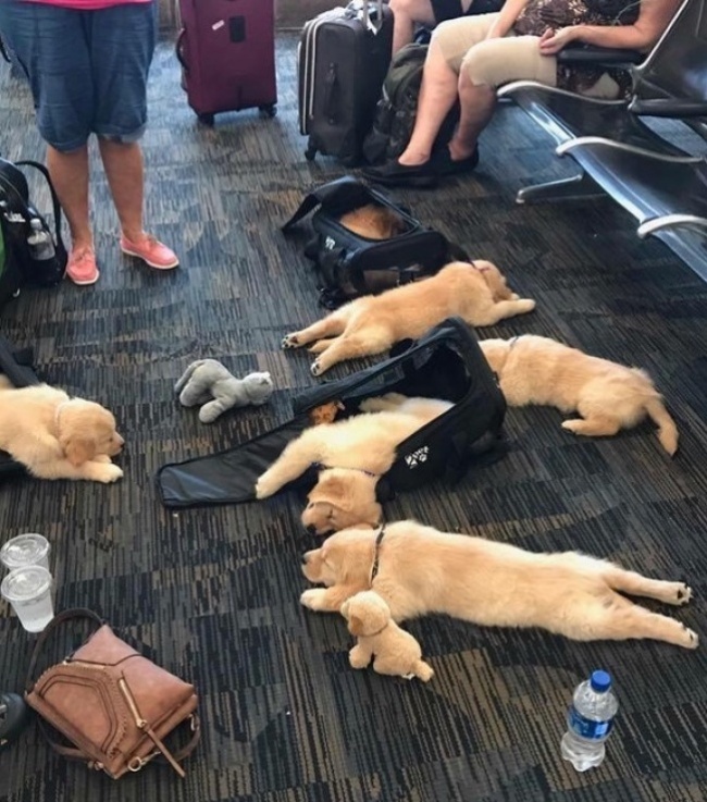 Illustration de l'article : 25 fois où la vie a illustré de vrais jeux de mots