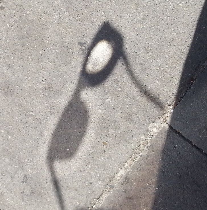 Illustration de l'article : Ces 20 situations dignes d'exp&eacute;riences scientifiques