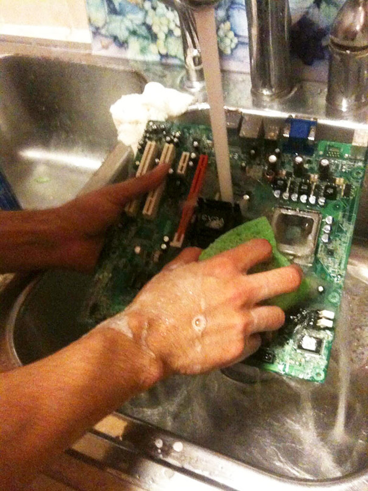 Illustration de l'article : Ces 24 photos de surprises rencontrées par des internautes