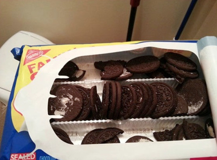 Illustration de l'article : Ces 19 photos où les gens contournent les règles