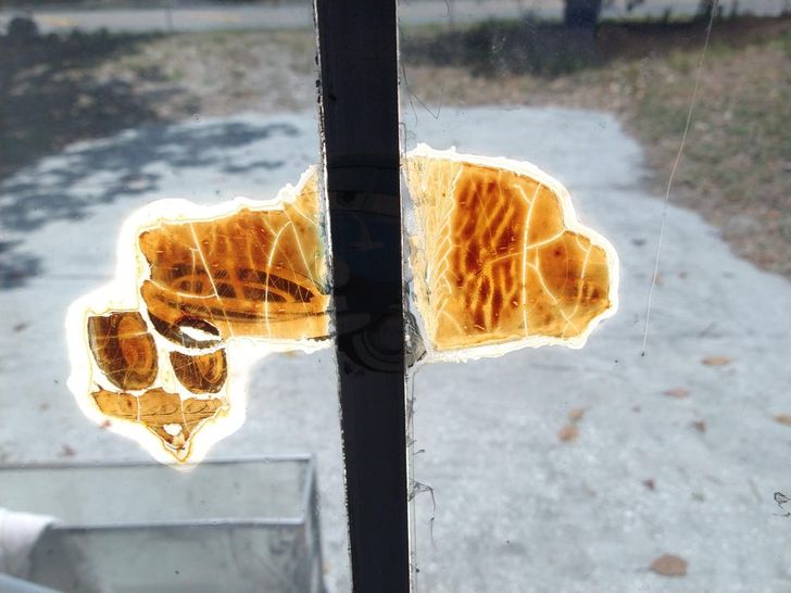 Illustration de l'article : Ces 19 photos qui illustrent des oeuvres d'art impr&eacute;vues