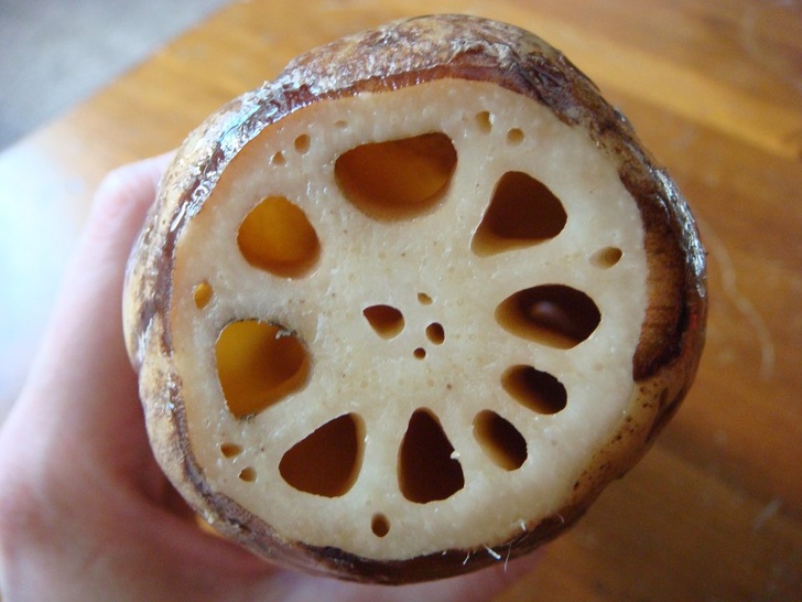 Illustration de l'article : Ces 25 choses coupées en deux pour y voir l'intérieur