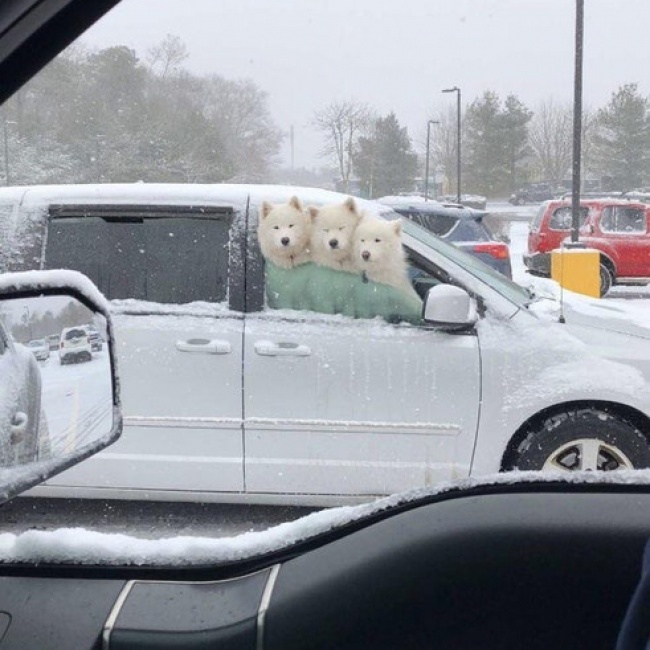 Illustration de l'article : 25 internautes partagent avec vous leurs instants de vie les plus marquants