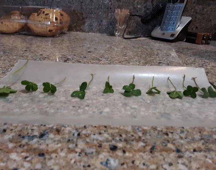 Illustration de l'article : Ces 19 personnes qui ont eu un joli coup du destin