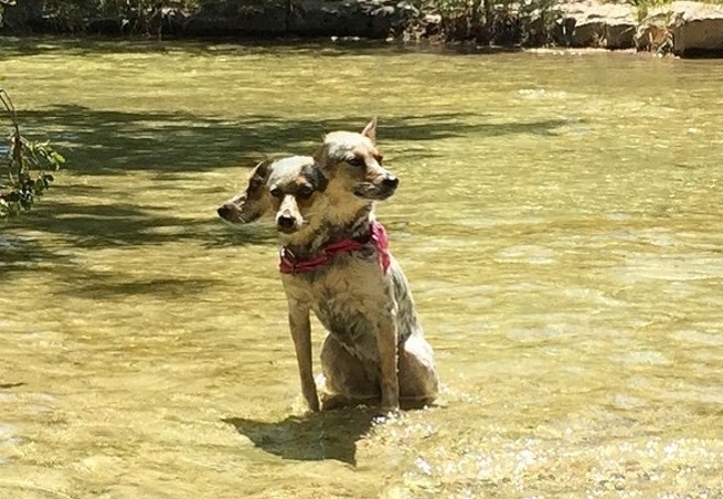 Illustration de l'article : Les photos panoramiques peuvent &ecirc;tre catastrophiques, en voici 24 fails