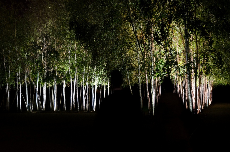 Illustration de l'article : 25 photos qu'il faut regarder 2 fois pour comprendre le sens