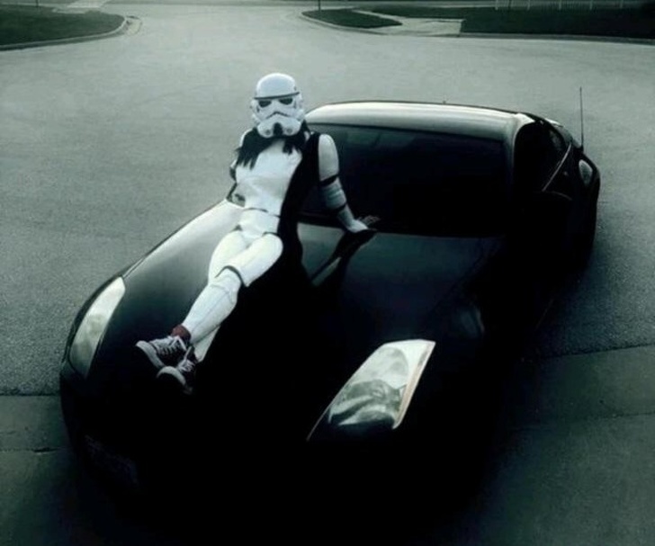 Illustration de l'article : Ces 18 cr&eacute;ations et personnes qui se diff&eacute;rencient des autres