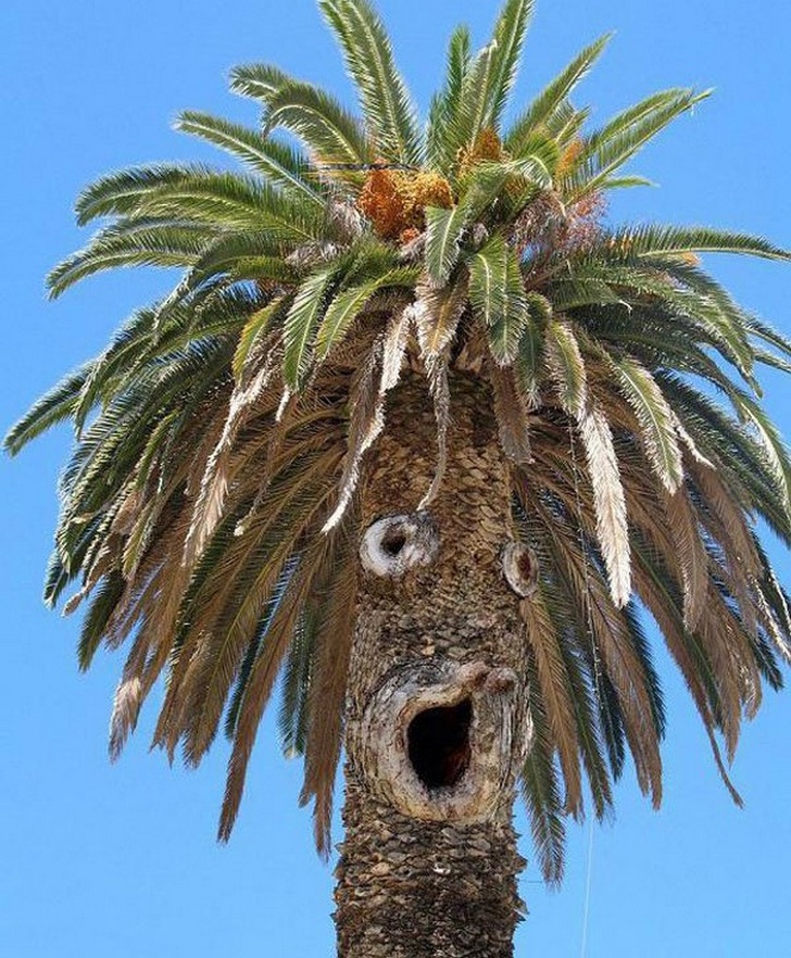 Illustration de l'article : Ces 22 personnes ont eu un petit moment de folie