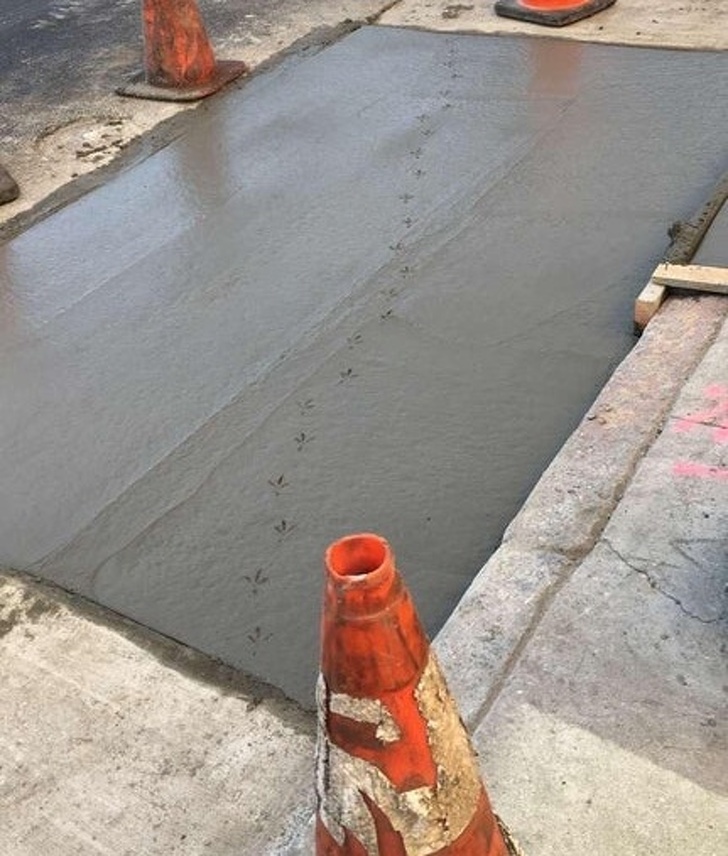 Illustration de l'article : Ces 18 situations qu'il vaut mieux éviter