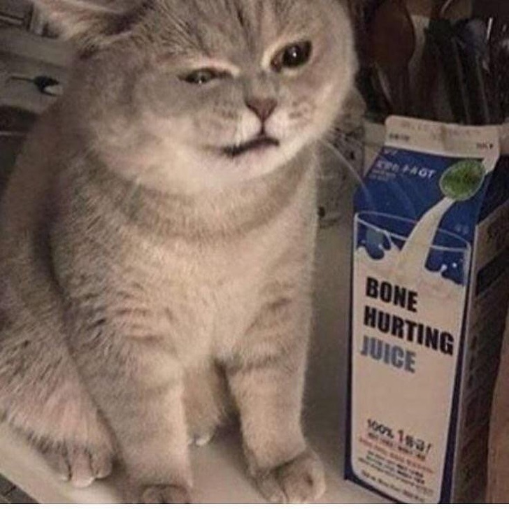 Illustration de l'article : Ces 18 fois où la vie s’est vengée de la pire des façons