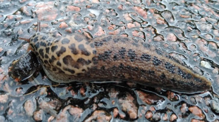 Illustration de l'article : Ces 20 personnes qui ont fait de bonnes trouvailles