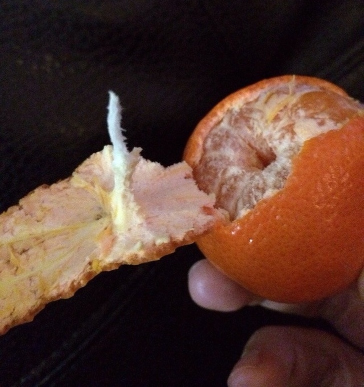 Illustration de l'article : Ces 22 photos qui se rapprochent de la perfection