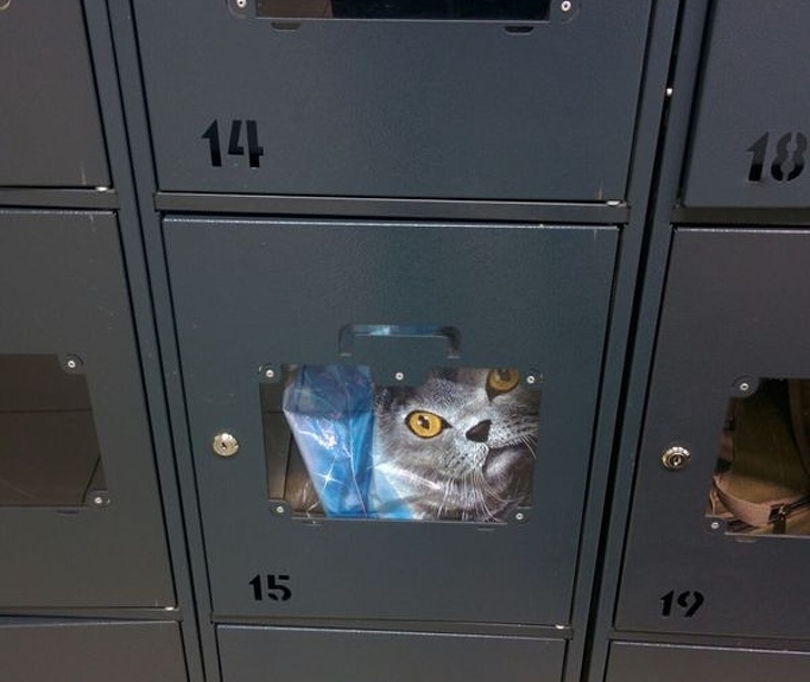 Illustration de l'article : Ces 15 coïncidences montrent que le hasard est troublant