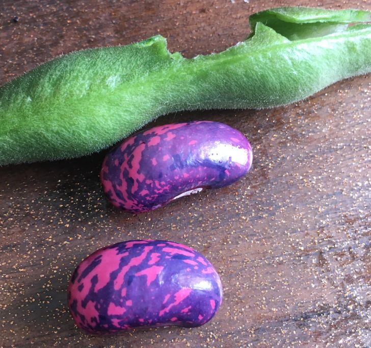 Illustration de l'article : Ces 16 photos qui illustrent la beauté et l'originalité de la nature