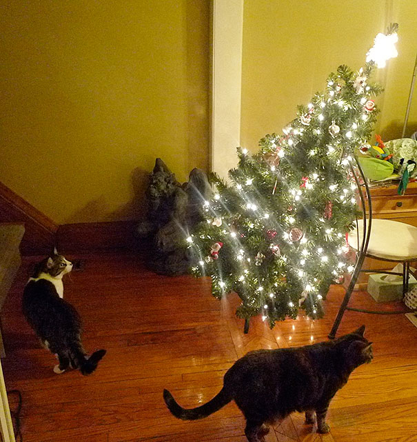 Illustration de l'article : 20 chiens et chats qui ont ruiné Noël en s’en prenant au sapin