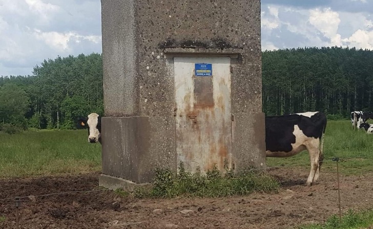 Illustration de l'article : Ces 21 photos qui dupent l'esprit et le cerveau