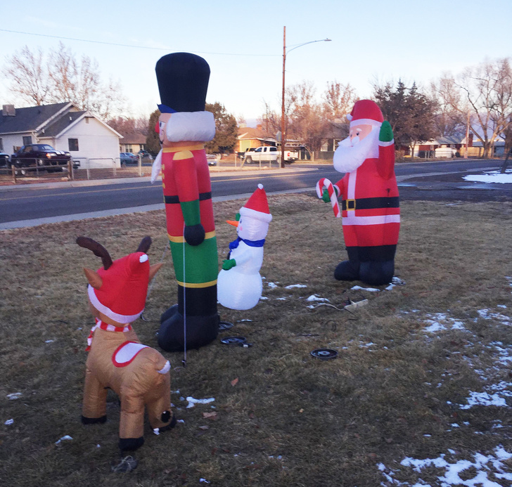 Illustration de l'article : Ces 20 photos qui montrent le bonheur de ces personnes