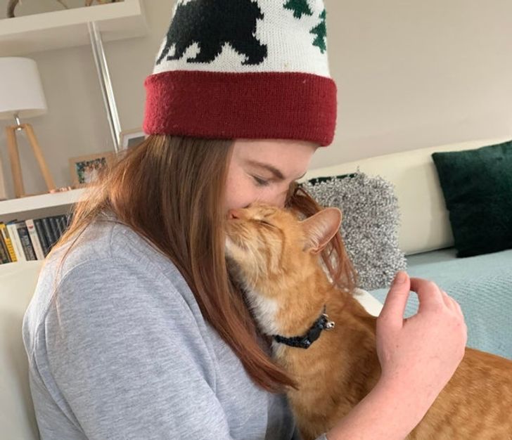 Illustration de l'article : Ces 17 photos d'animaux qui ont trouvé un foyer aimant