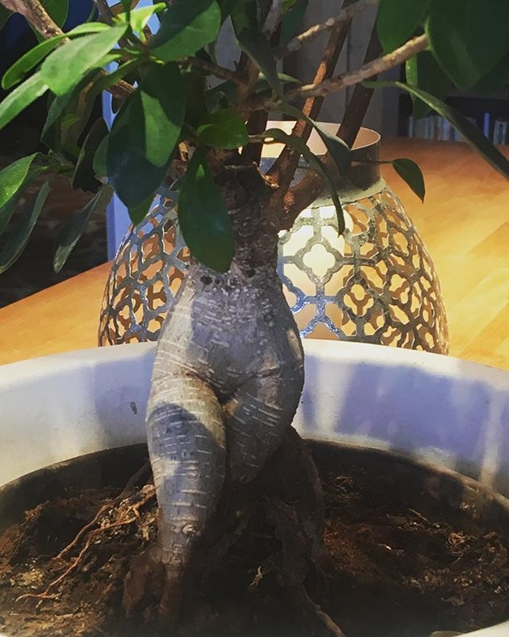 Illustration de l'article : Ces 29 photos curieuses qui révèlent le monde dans lequel nous vivons