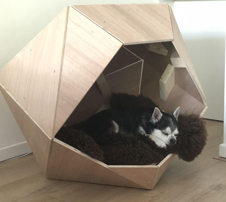 Illustration de l'article : Ces 18 photos qui illustrent la cr&eacute;ativit&eacute; des designers