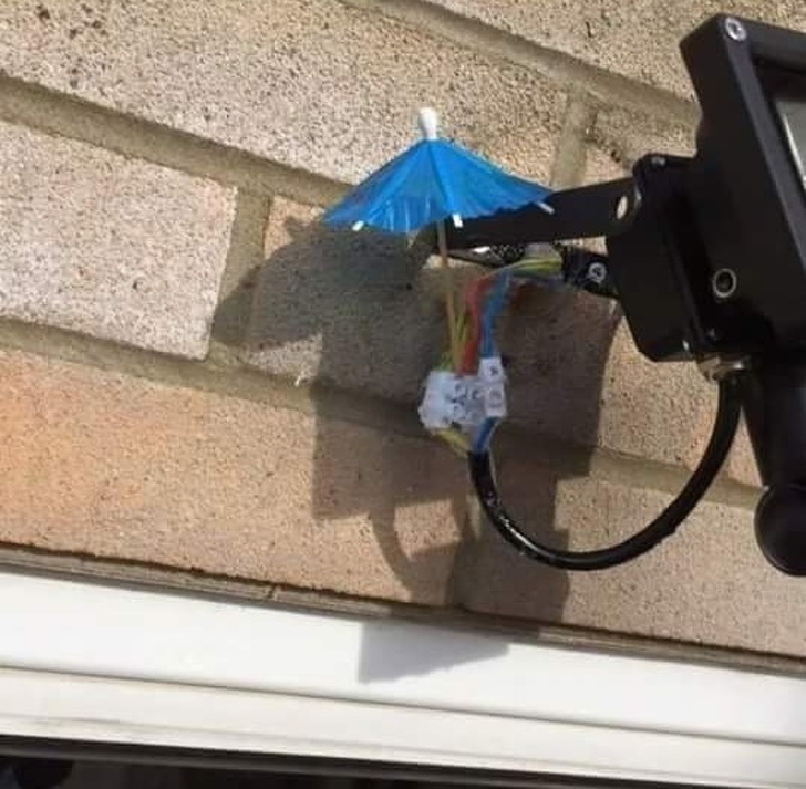 Illustration de l'article : Ces 21 personnes qui n'étaient pas motivées à travailler ce jour-là