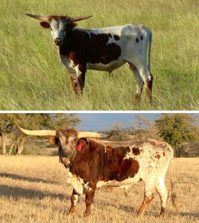 Illustration de l'article : 27 coïncidences immortalisées par un appareil photo