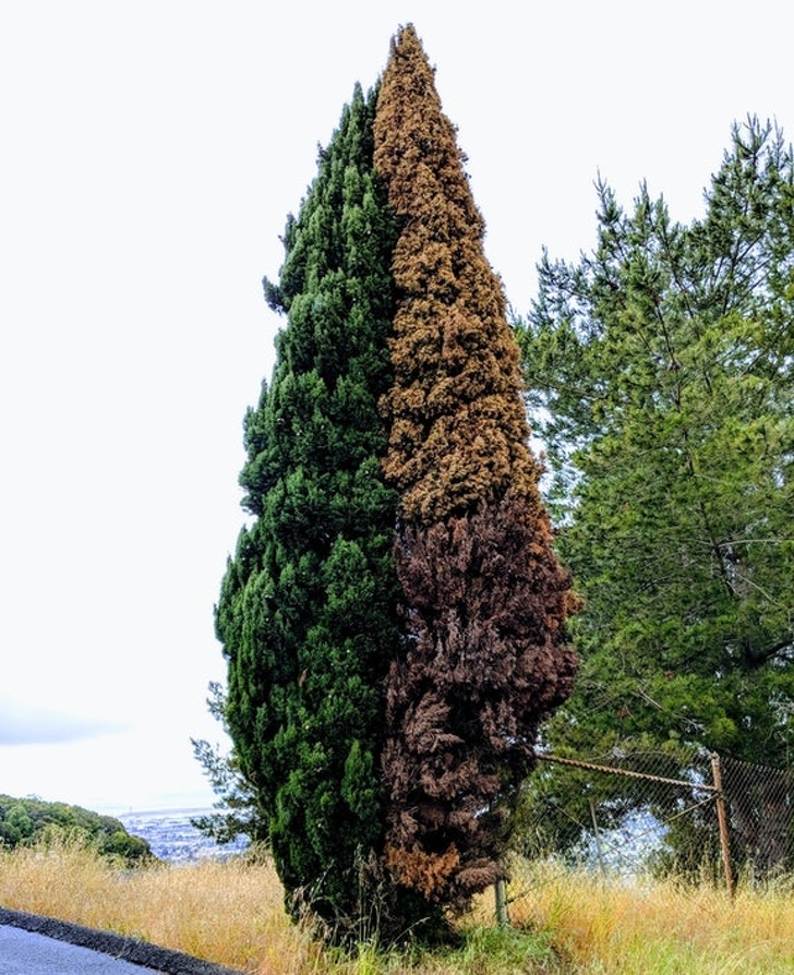 Illustration de l'article : Ces 13 photos qui montrent que l'on peut faire des découvertes tous les jours