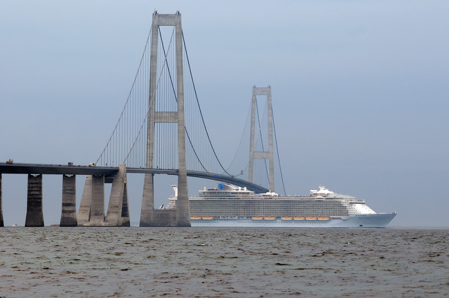 Illustration de l'article : Ces 17 personnes ont un ange gardien sur leur tête