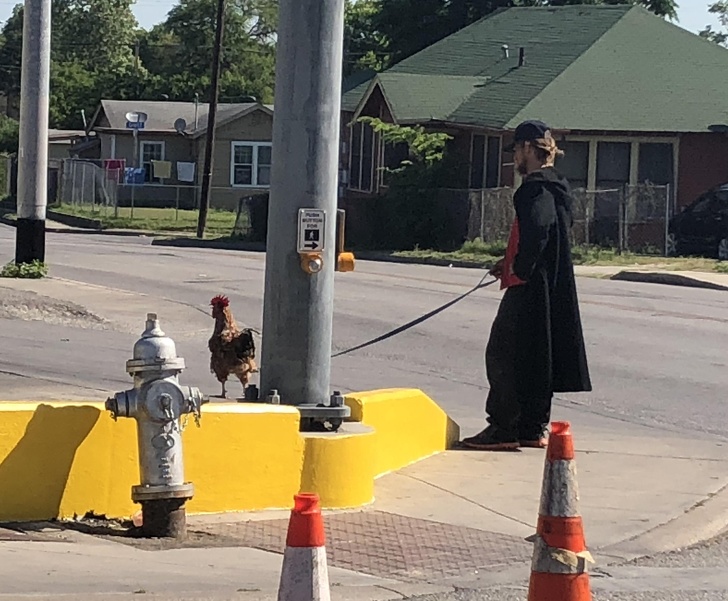 Illustration de l'article : Ces 15 choses de gens un peu fous qui prêtent à sourire