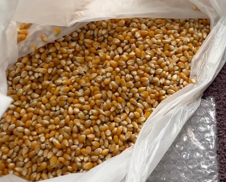 Illustration de l'article : Ces 19 photos qui témoignent des mauvais jours