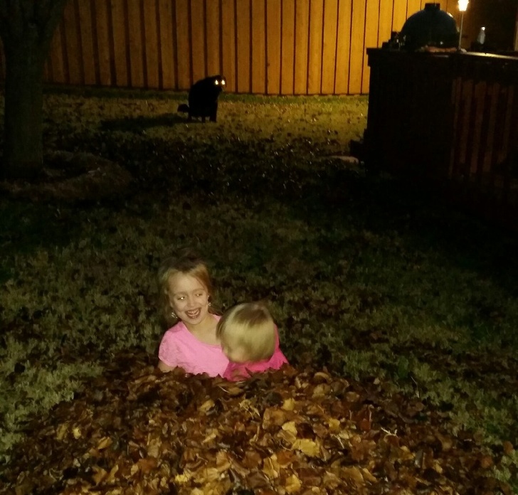 Illustration de l'article : Ces 19 arrière-plans qui font toute la différence