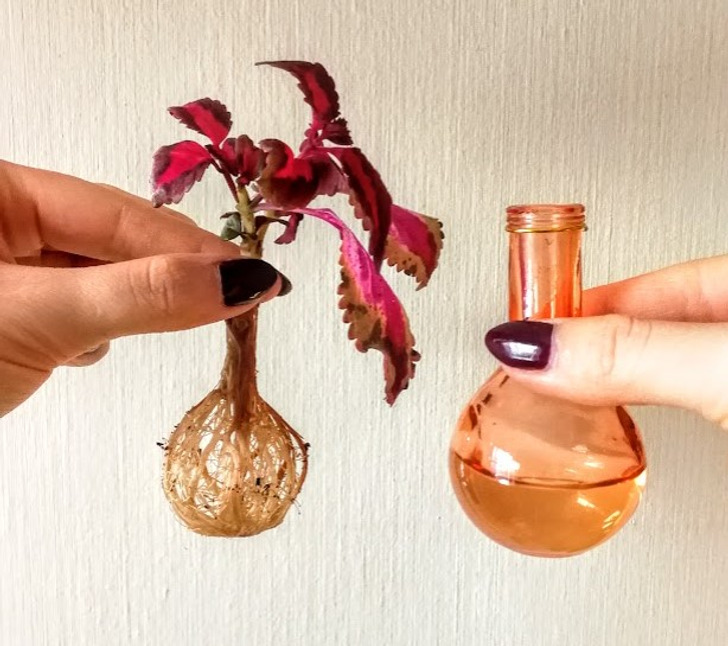 Illustration de l'article : Ces 20 photos d'éléments ordinaires qui ont quelque chose en plus