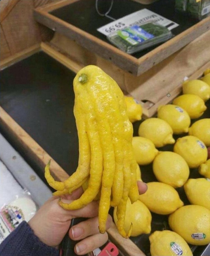 Illustration de l'article : Ces 26 curiosités qui montrent la diversité de notre monde