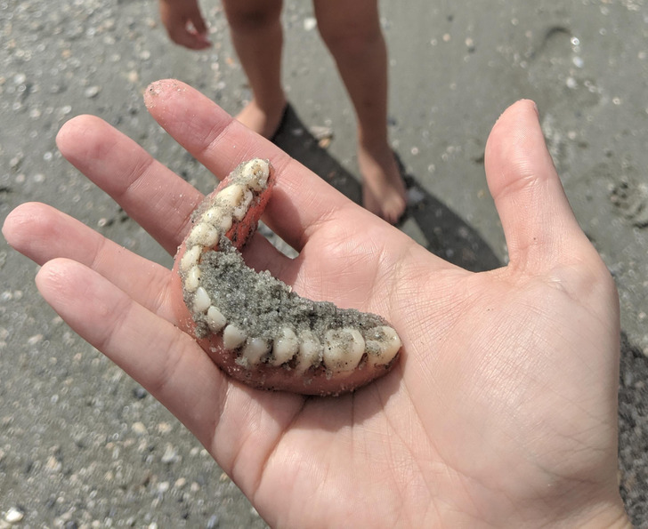 Illustration de l'article : Ces 20 photos qui illustrent des découvertes inattendues