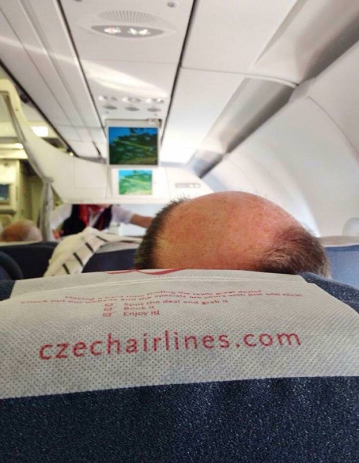 Illustration de l'article : Ces 20 scènes qui montrent que la photo est parfois une question de chance