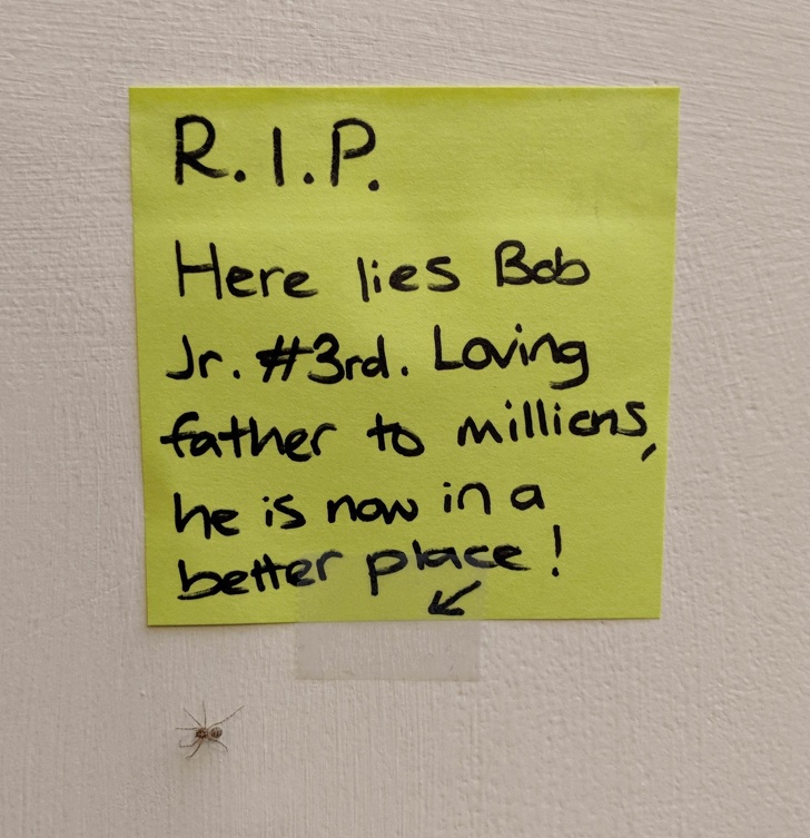 Illustration de l'article : Ces 16 photos qui montrent la créativité des enfants