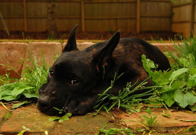 Illustration de l'article : 24 choses &agrave; faire absolument tant qu&rsquo;on est encore jeune