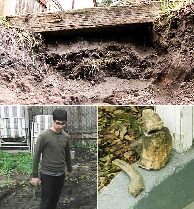 Illustration de l'article : 10 choses totalement hallucinantes que des gens ont retrouv&eacute; dans leur jardin 