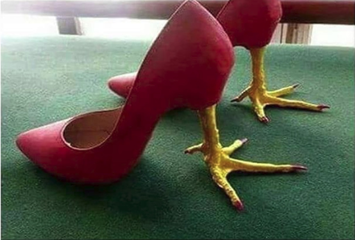 Illustration de l'article : Ces 20 photos de personnes qui ne devraient rien toucher