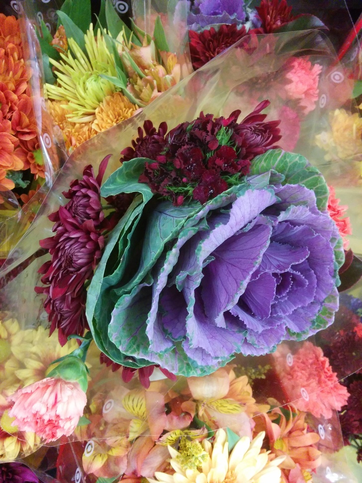 Illustration de l'article : Ces 15 photos qui sont difficilement explicables