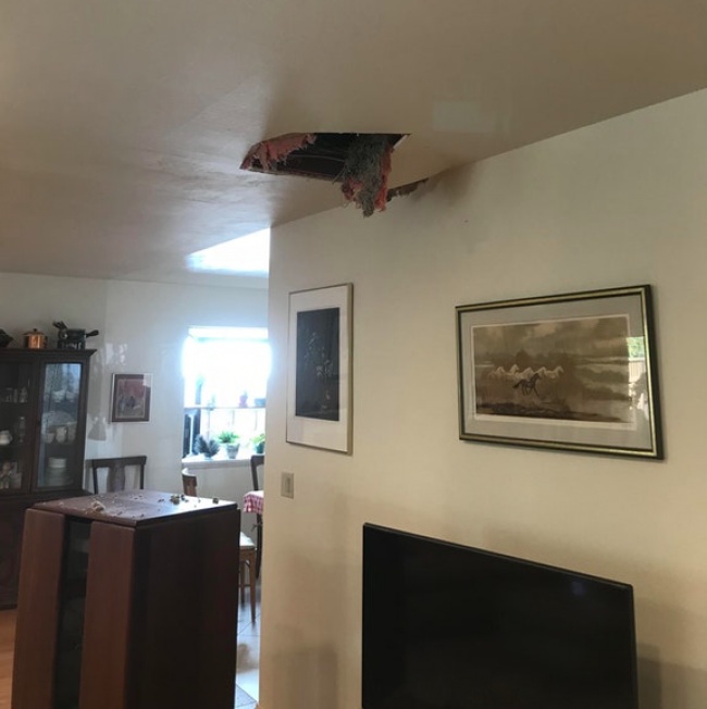 Illustration de l'article : Il y a toujours plus malchanceux que vous, ces 26 personnes le prouvent