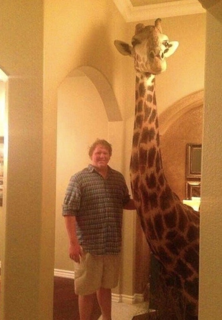 Illustration de l'article : Ces 22 personnes ont eu un petit moment de folie