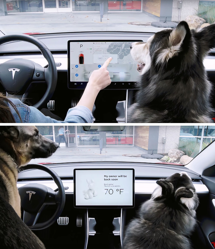 Illustration de l'article : Ces 18 inventions pour rendre le quotidien plus facile