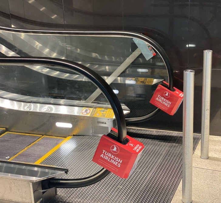 Illustration de l'article : Ces 20 photos illustrant des solutions aux problèmes actuels 