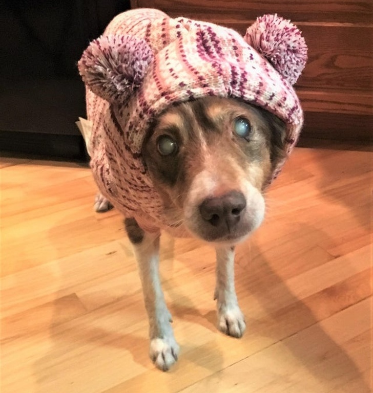 Illustration de l'article : Ces 24 photos qui montrent la joie de vivre