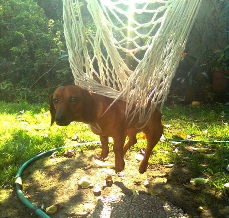 Illustration de l'article : Ces 19 personnes qui ont eu une journée compliquée